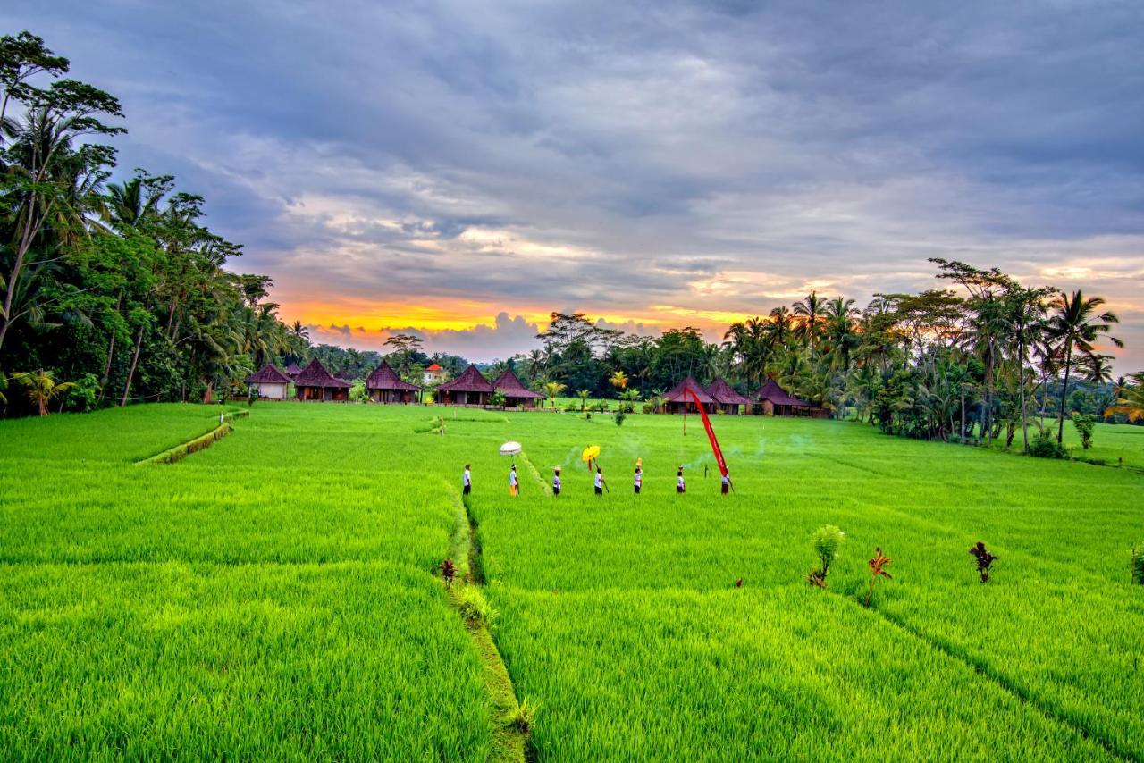 Intan Villa & Suite Ubud Exterior foto